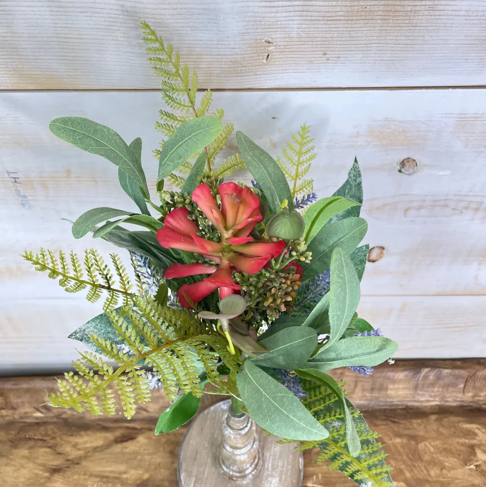 CRI Mixed Succulent Bundle Pick