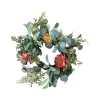 CRI Mixed Succulent Wreath 6"