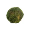 CRI Moss Orb, 4"