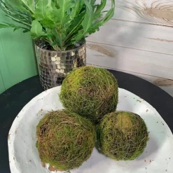 CRI Moss Orb, 4"