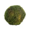 CRI Moss Orb, 5"