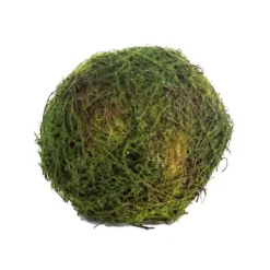 CRI Moss Orb, 5"