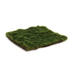 Napa Home & Garden Moss Sheet Square, 8"
