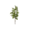 Regency Natural Juniper Spray