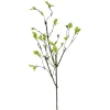 Direct Export Co. Natural Leaf Vine Spray