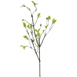 Direct Export Co. Natural Leaf Vine Spray