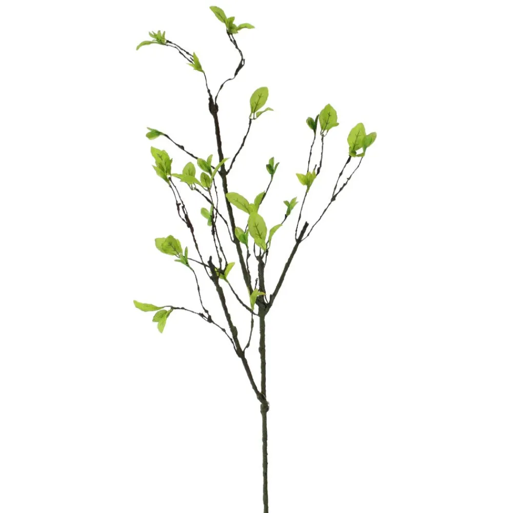 Direct Export Co. Natural Leaf Vine Spray