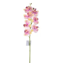 Direct Export Co. Natural Touch Orchid Phalaenopsis Stem