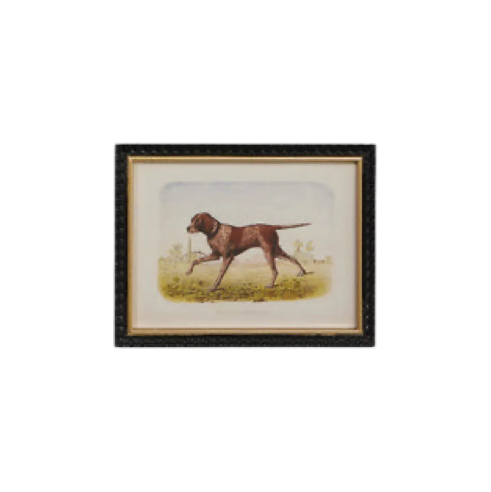 RAZ On the Hunt Wall Art