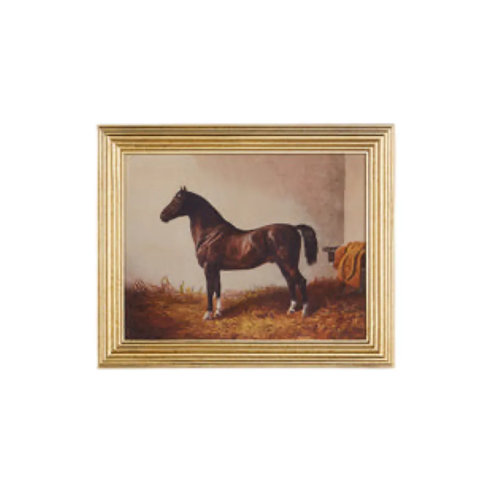 RAZ On the Hunt Wall Art