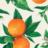 Hester & Cook Orange Orchard Cocktail Napkin Set