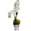 Miss Cayce's Orchid Easter Blooms