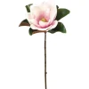 Winward Orchid Magnolia
