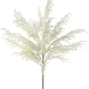 Craig Bachman Pampas Grass Plume Spray