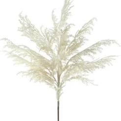 Craig Bachman Pampas Grass Plume Spray