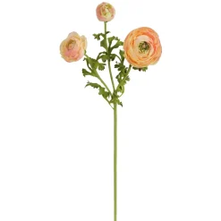 Winward Peach Ranunculus Spray, 24"