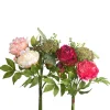 CRI Peony Berry Bundle