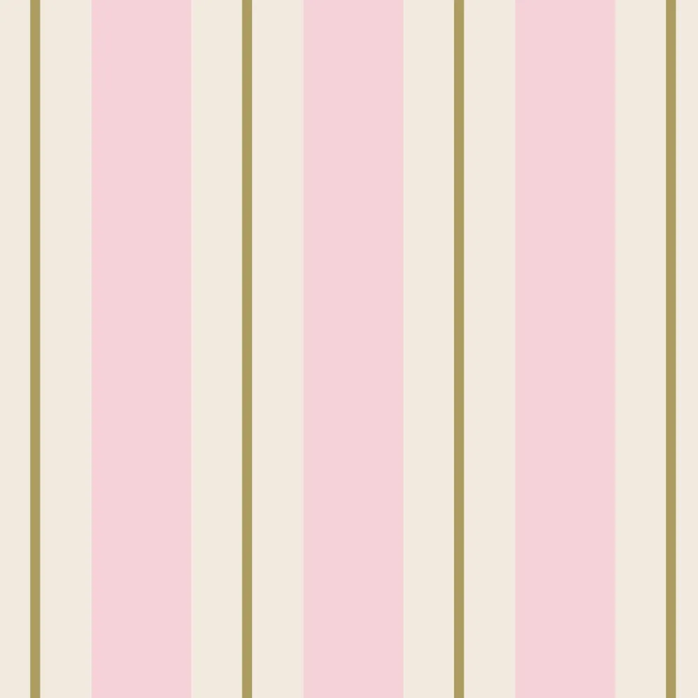 Hester & Cook Pink & Gold Awning Stripe Cocktail Napkin Set