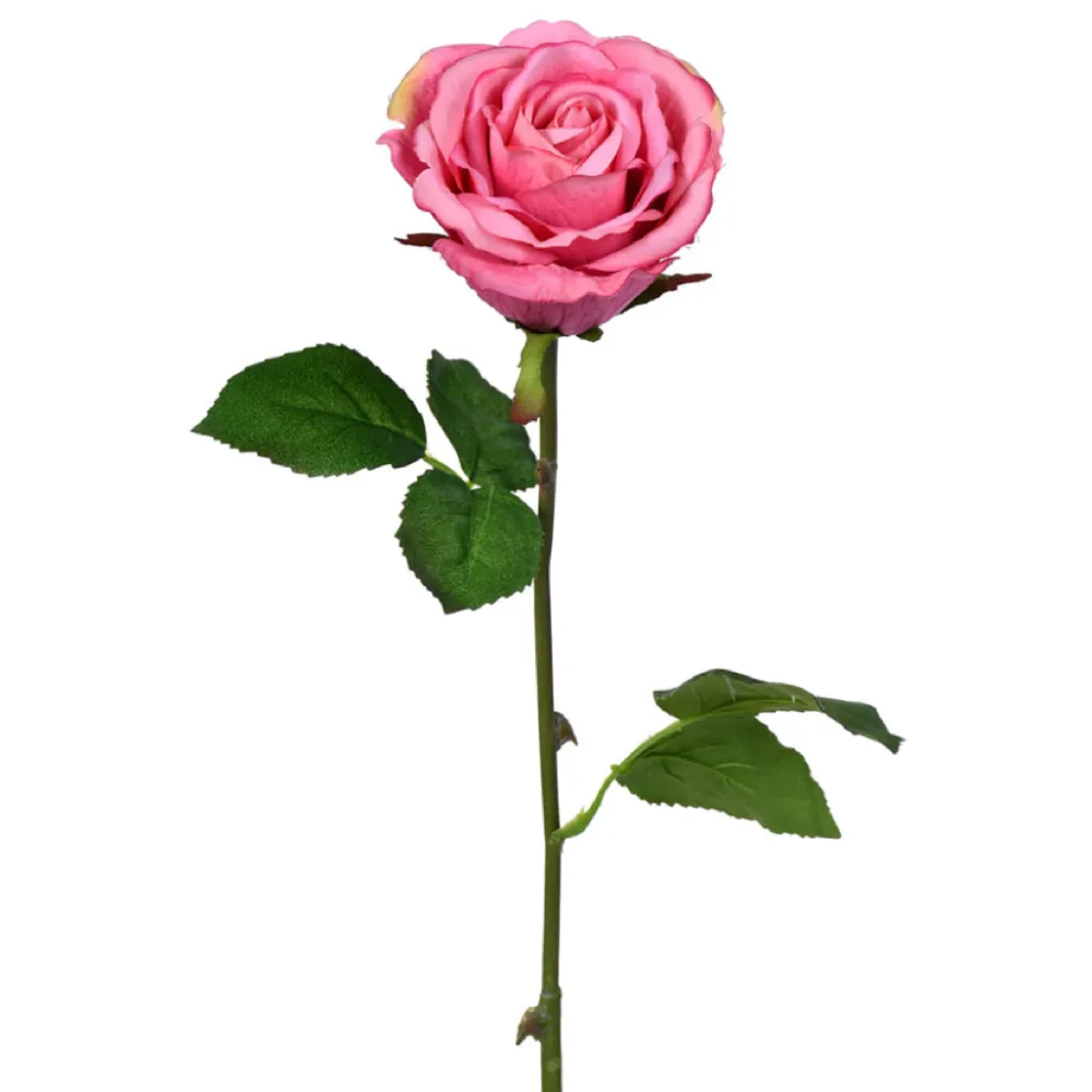 CRI Pink Rosebud Stem