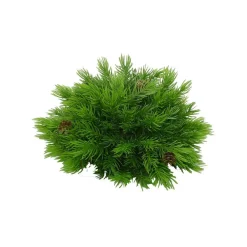 Liberty Floral Plastic Pine Half Ball