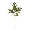 Winward Pointed Holly Spray