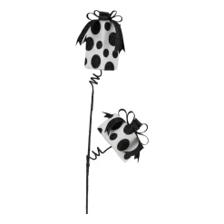 Craig Bachman Polka Dot Package Spray