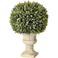 Regency Potted Sage Ball Urn Arrangement, 15"