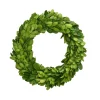 Mills Floral Company Preserved Boxwood Candle Ring, 8"