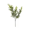 CRI Privet Leaf Spring Green 27"