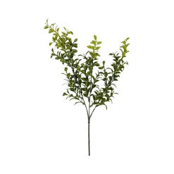 CRI Privet Leaf Spring Green 27"