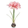 RAZ Real Touch Amaryllis Bulb