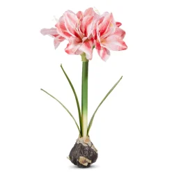 RAZ Real Touch Amaryllis Bulb