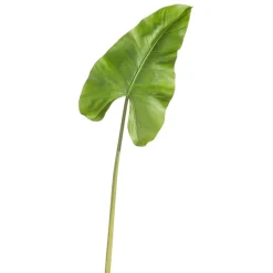 RAZ Real Touch Caladium Leaf Stem, 36"