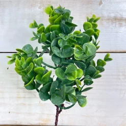 CRI Real Touch Eucalyptus Pick