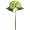 RAZ Real Touch Green Hydrangea Stem