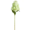 RAZ Real Touch Green Hydrangea Stem