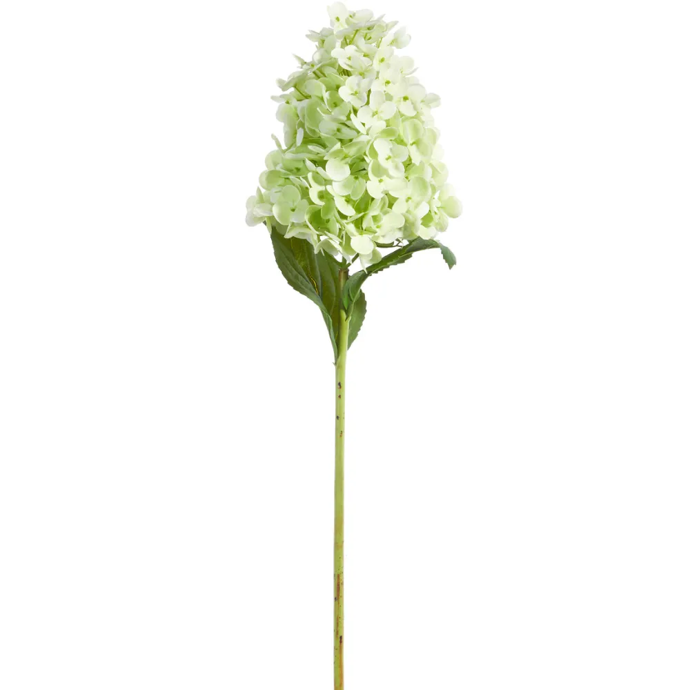 RAZ Real Touch Green Hydrangea Stem