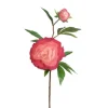 CRI Real Touch Salmon Peony