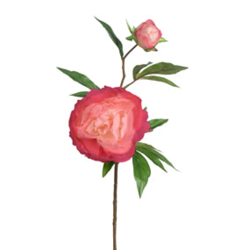CRI Real Touch Salmon Peony