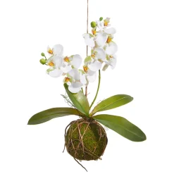 RAZ Real Touch White Orchid with Moss Ball, 15"