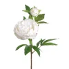 CRI Real Touch White Peony