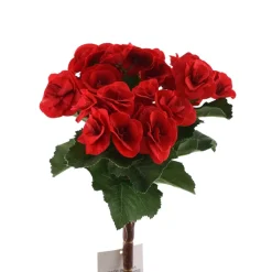 Direct Export Co. Red Begonia Bush