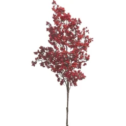 RAZ Red Berry Spray