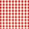 Hester & Cook Red Painted Check Cocktail Napkin Set
