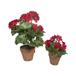 RAZ Red Potted Geranium