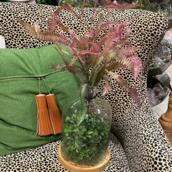 Regency Rose Green Feather Fern Plant