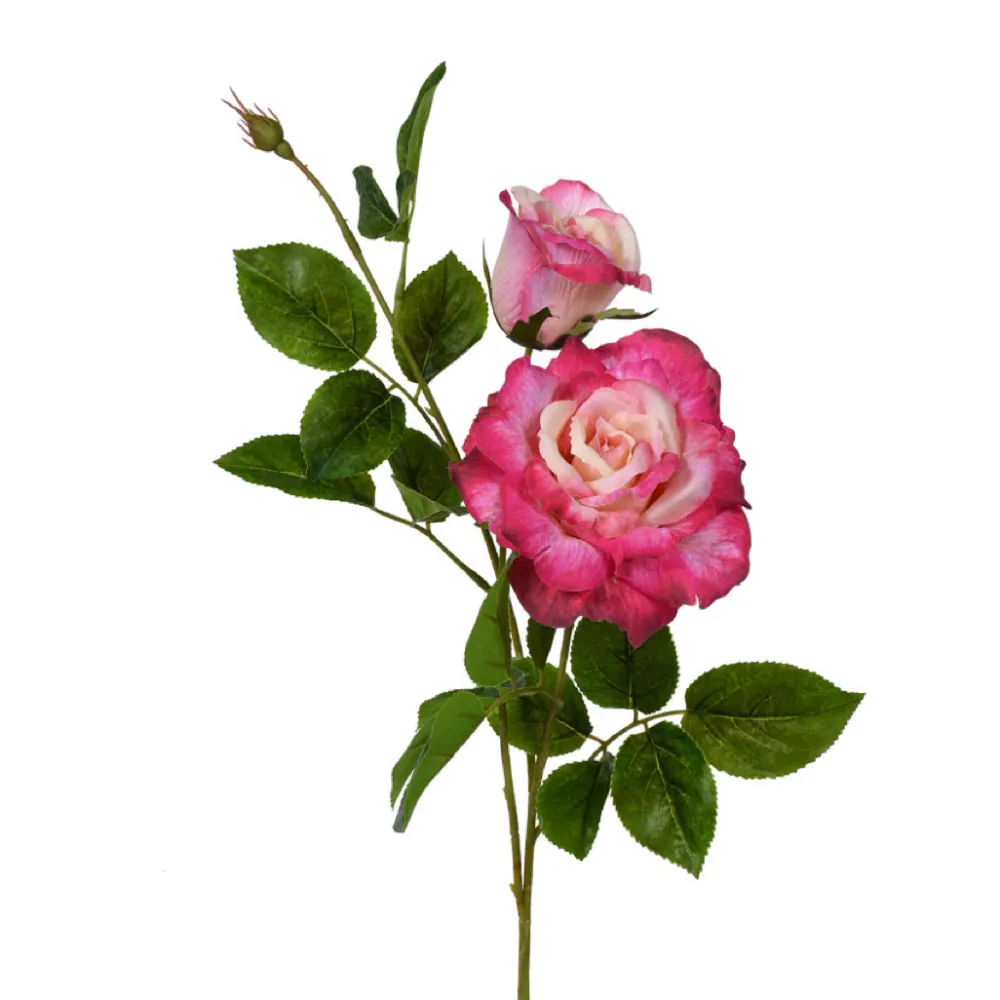 CRI Rose Spray, Pink