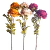 CRI Royal Ranunculus Stems