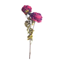 CRI Royal Ranunculus Stems