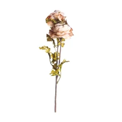 CRI Royal Ranunculus Stems